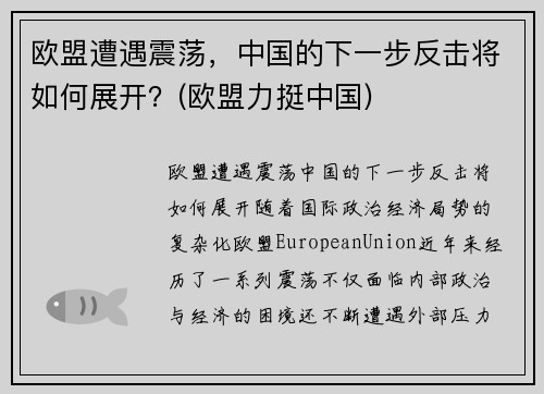 欧盟遭遇震荡，中国的下一步反击将如何展开？(欧盟力挺中国)
