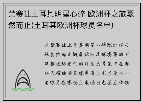 禁赛让土耳其明星心碎 欧洲杯之旅戛然而止(土耳其欧洲杯球员名单)