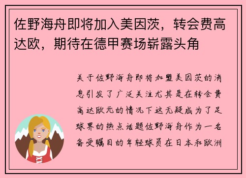 佐野海舟即将加入美因茨，转会费高达欧，期待在德甲赛场崭露头角