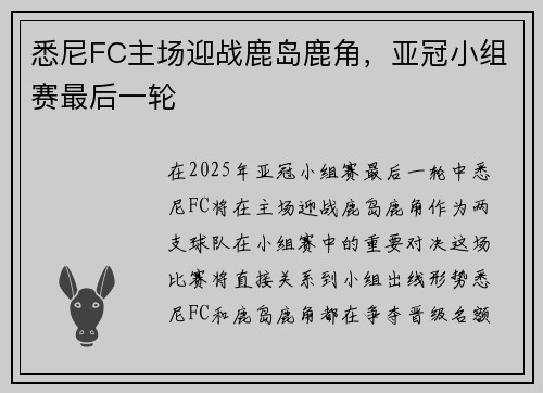 悉尼FC主场迎战鹿岛鹿角，亚冠小组赛最后一轮