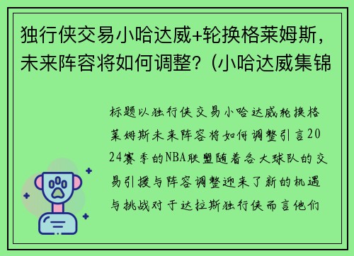 独行侠交易小哈达威+轮换格莱姆斯，未来阵容将如何调整？(小哈达威集锦)