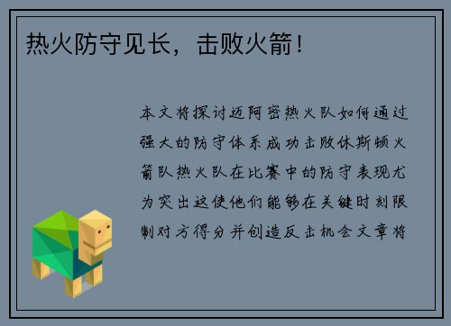 热火防守见长，击败火箭！