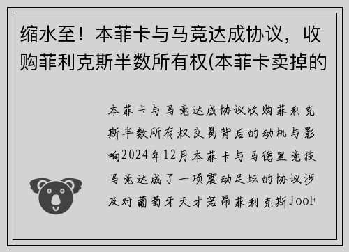 缩水至！本菲卡与马竞达成协议，收购菲利克斯半数所有权(本菲卡卖掉的球星)